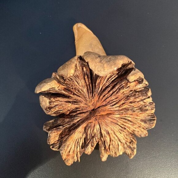 Unique Vintage Hand Carved Wood Turtle - Picture 7 of 7